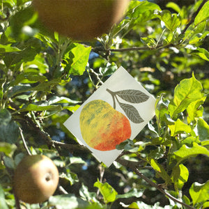 Minikarte "Little Apple" / Hadley