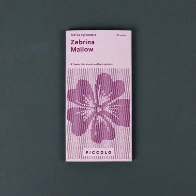 Pflanzensamen Zebrina Malve / PICCOLO