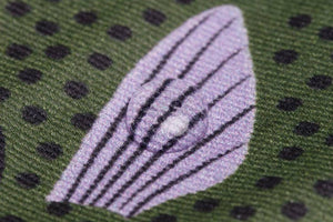 Green Sweeperfisch Etui / Don Fisher