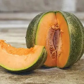 Pflanzensamen Petit Gris de Rennes Cantaloupe Melone / PICCOLO
