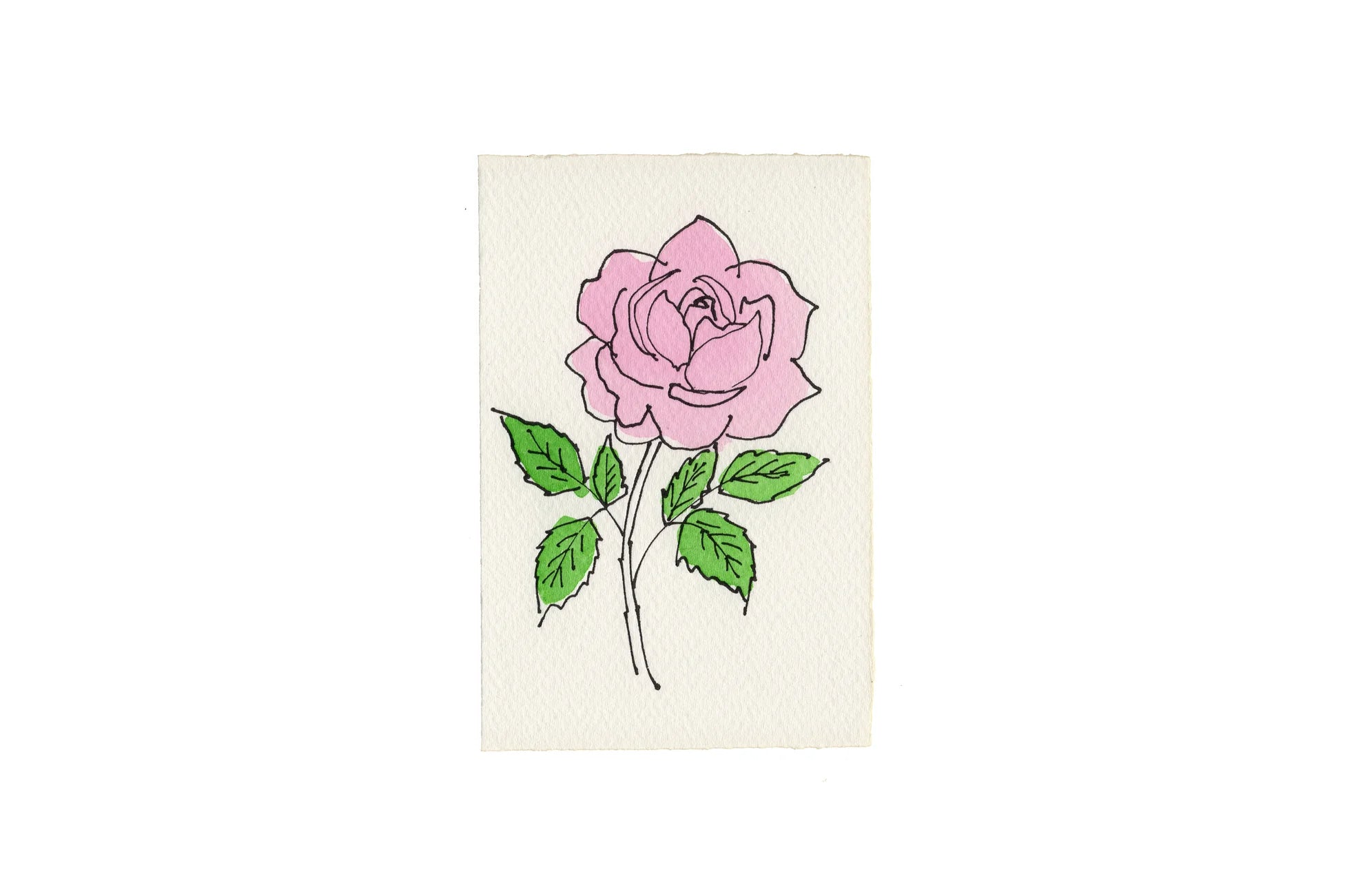 Klappkarte „Rose“ / Scribble & Daub