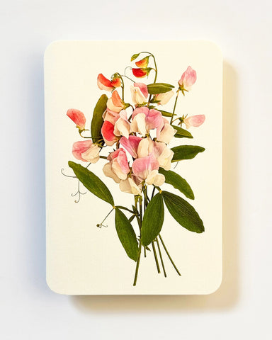 Grußkarte "Pink Sweet Peas" / Canonbury-Press