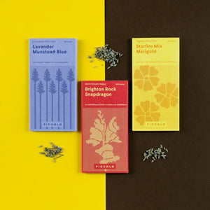 Pflanzensamen Pollinator‘s Flowers 'Seed Collection' / PICCOLO