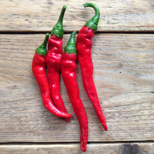 Pflanzensamen Cayenne Long Slim Hot Pepper / PICCOLO