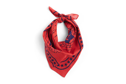 Hundehalstuch "Dogs Scarf" / Hay