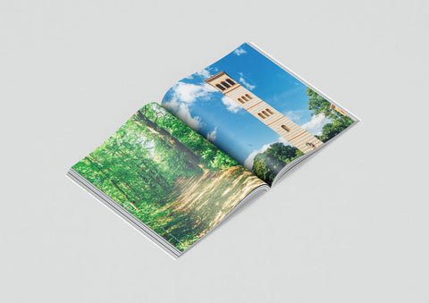 Take Me to The Lakes "Bicycle Edition" / The Gentle Temper