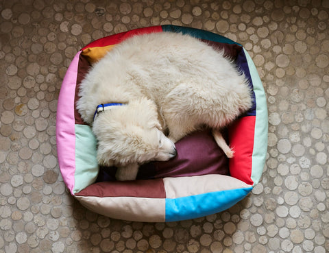 Hundebett "Dogs Bed" multicolor S / Hay