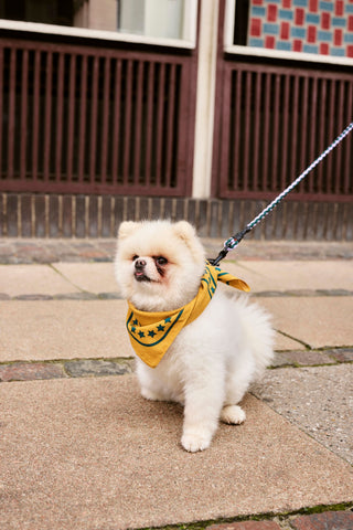 Hundehalstuch "Dogs Scarf" / Hay