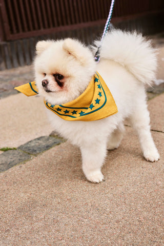 Hundehalstuch "Dogs Scarf" / Hay