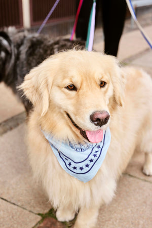 Hundehalstuch "Dogs Scarf" / Hay