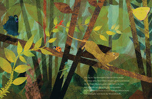 Buch "Der kleine Spross" von Britta Teckentrup / Prestel