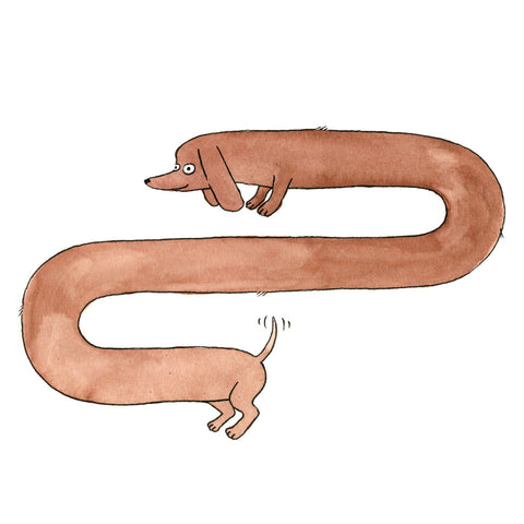 Grußkarte „Dachshund“ / EllGee