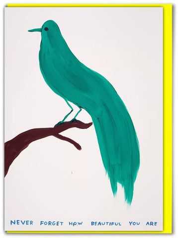 Grußkarte "Never Forget" / David Shrigley X Brainbox Candy
