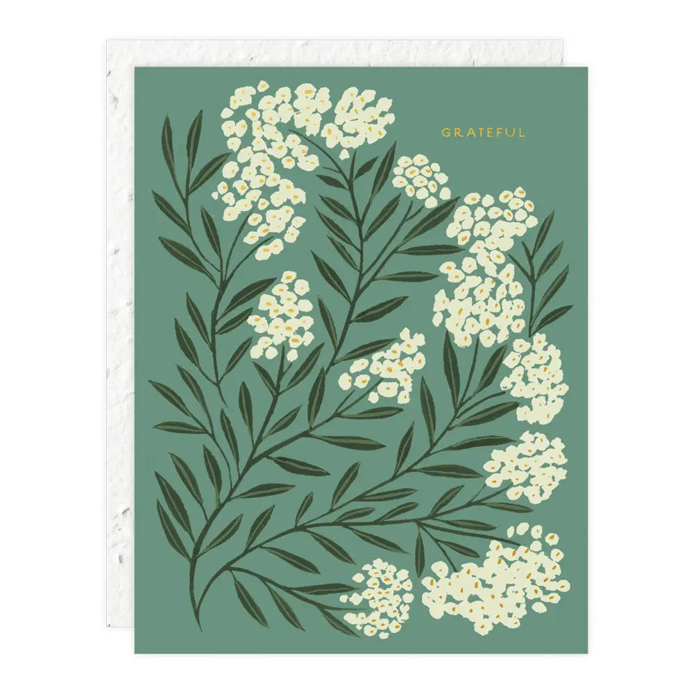 Grußkarte „Grateful“ / Seedlings