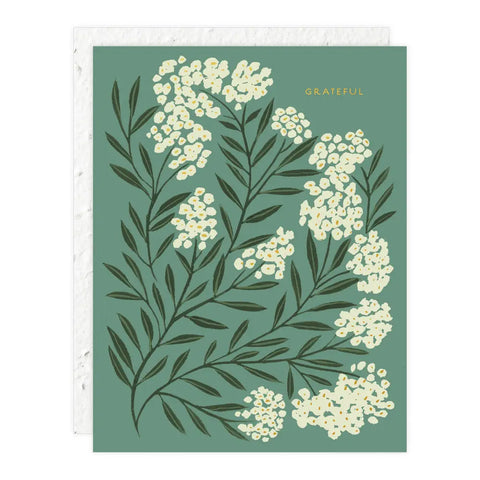 Grußkarte „Grateful“ / Seedlings