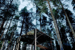 "Stay Wild" / Gestalten