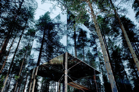"Stay Wild" / Gestalten