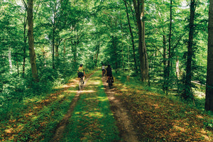 Take Me to The Lakes "Bicycle Edition" / The Gentle Temper