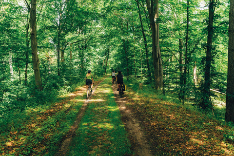 Take Me to The Lakes "Bicycle Edition" / The Gentle Temper