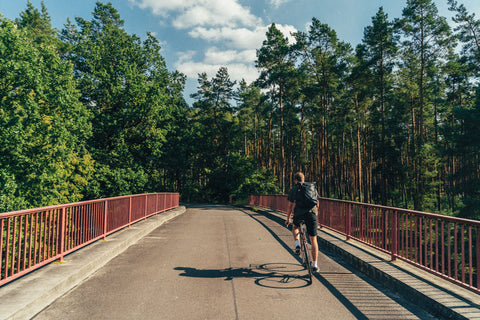 Take Me to The Lakes "Bicycle Edition" / The Gentle Temper
