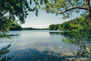 Take Me to The Lakes "Bicycle Edition" / The Gentle Temper