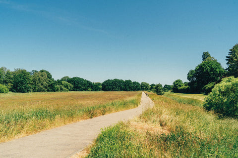 Take Me to The Lakes "Bicycle Edition" / The Gentle Temper
