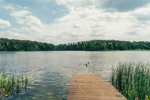 Take Me to The Lakes "Bicycle Edition" / The Gentle Temper