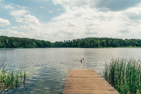 Take Me to The Lakes "Bicycle Edition" / The Gentle Temper