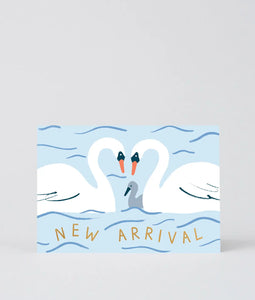 Karte New Arrival Swans / Wrap