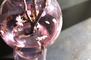 Vase "Bubble Tube Large" / Studio About